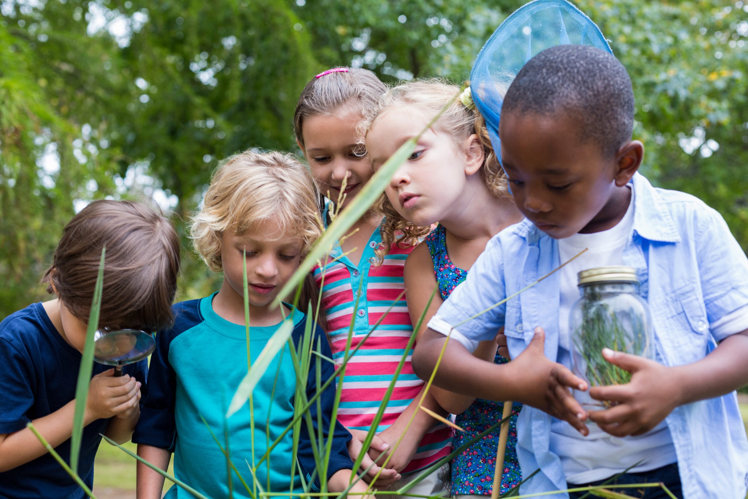 Children can be seen playing in the grass, one holding a magnifying glass, another carrying a net and one clutching a jar.