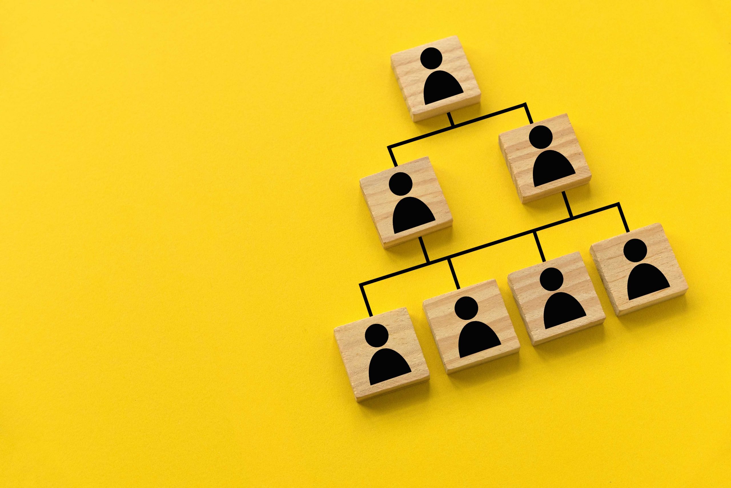 Hierarchical organizational chart of blocks on yellow background.