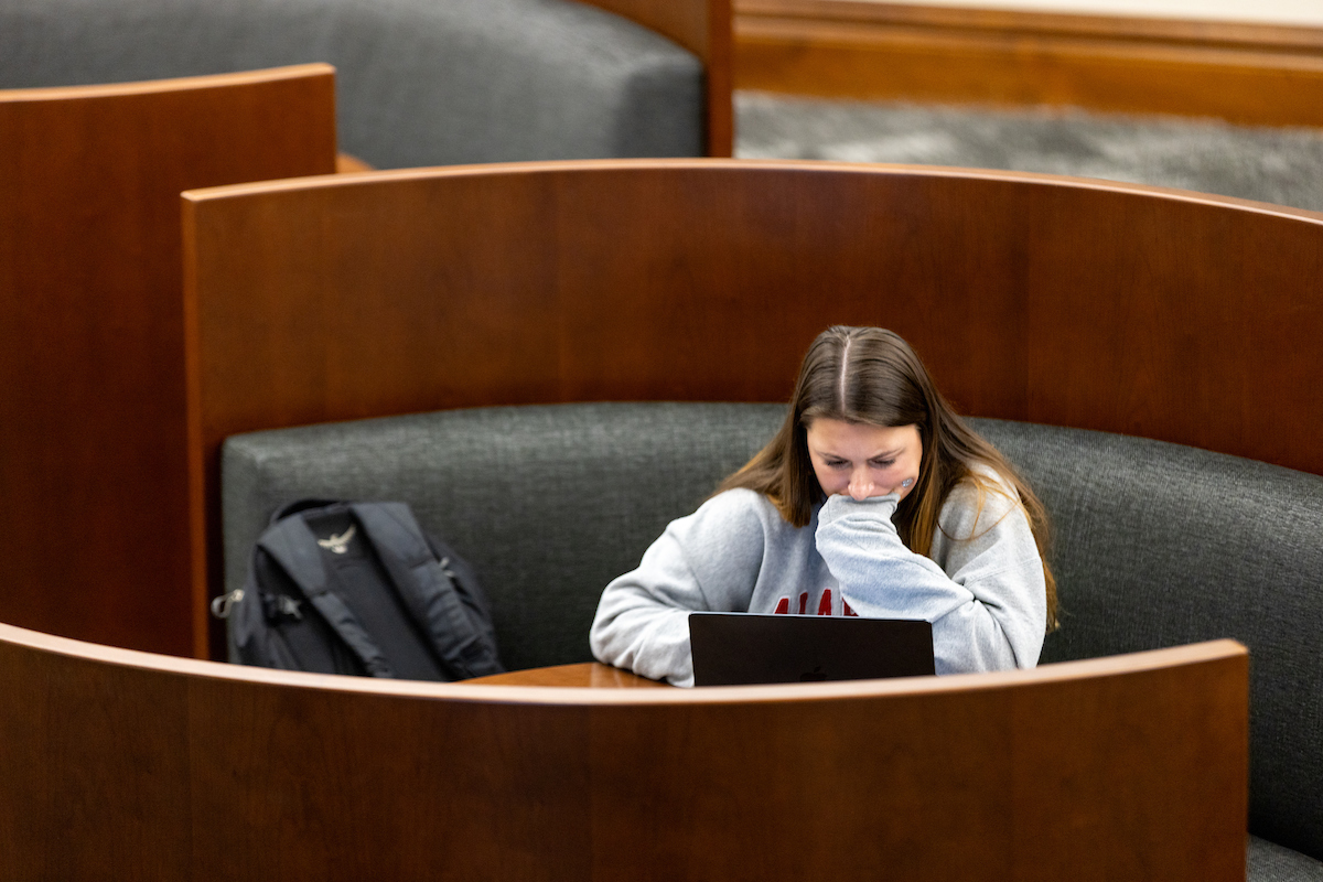 Students Studying in Bruno