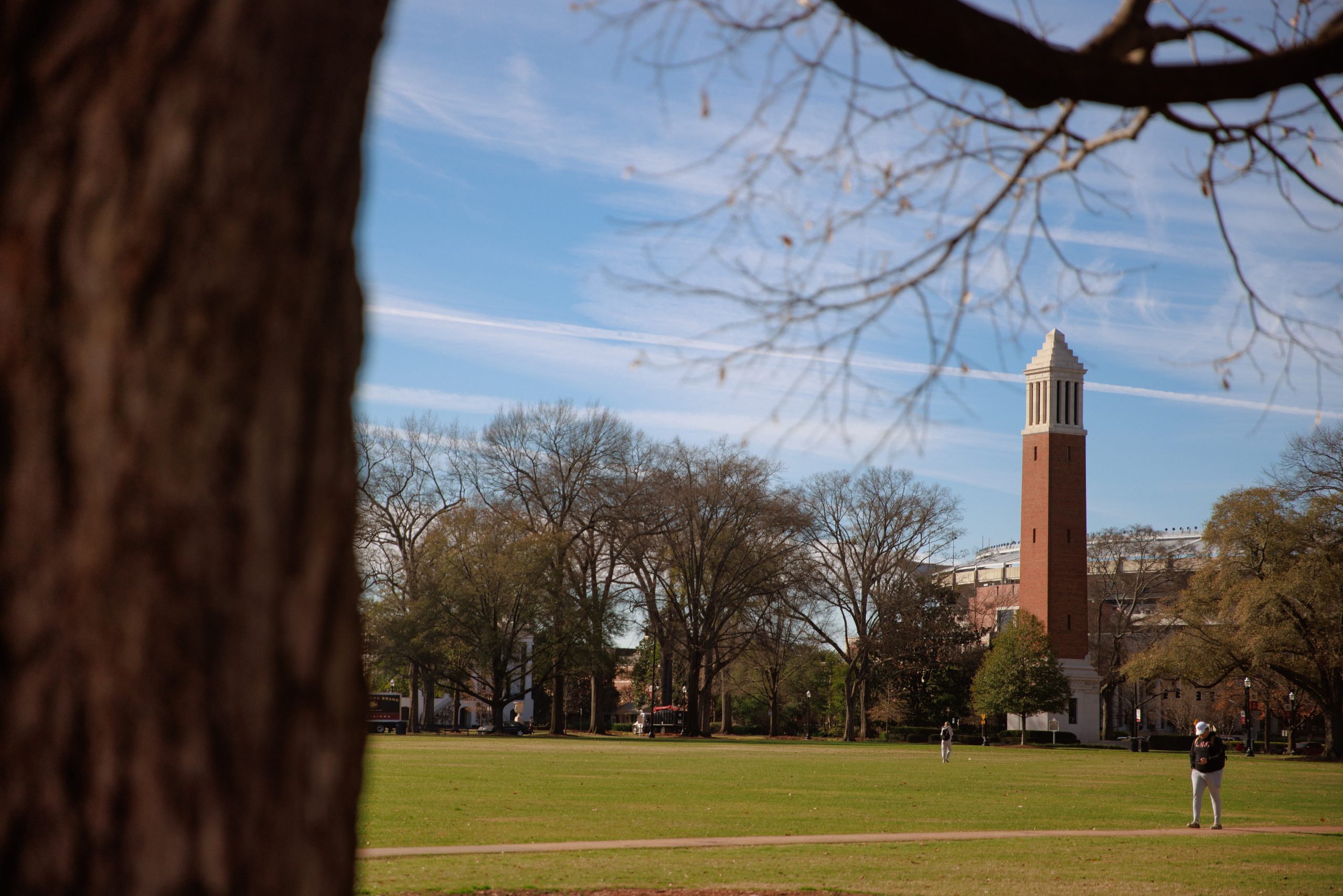 Denny Chimes with the tree in the forground