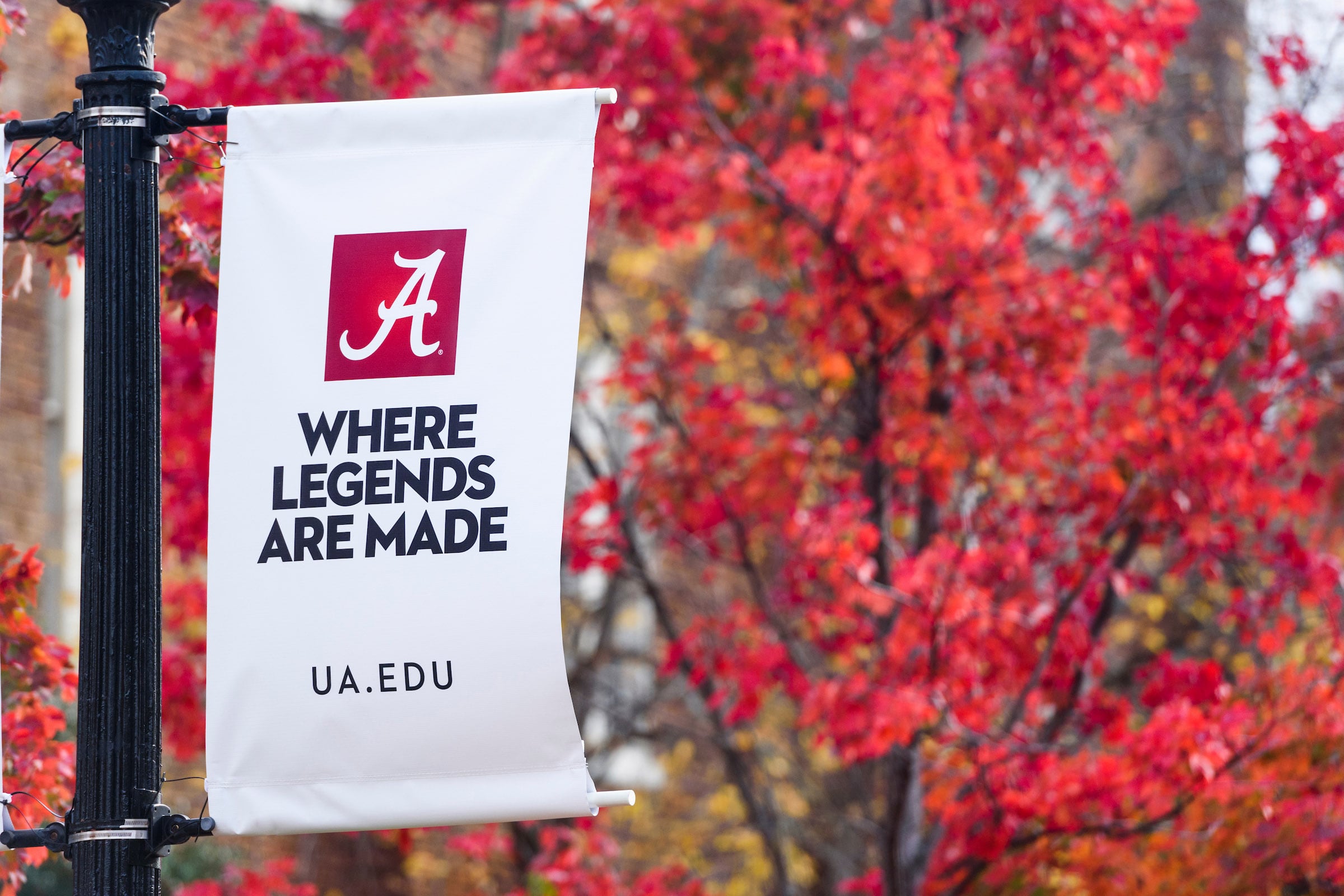 Sign on the University of Alabama campus that reads, 