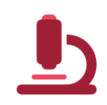 Research Icon